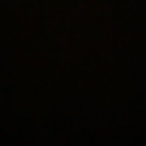 Meet your Posher, Bella